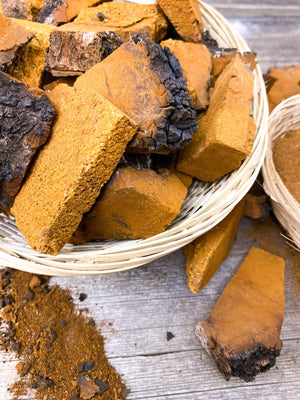 Ouvrir l&#39;image dans le diaporama, Native apothicaire Ingrédients 75 g - en pépite Chaga
